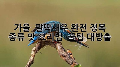 가을 🦐 팔딱새우 완전 정복! 종류, 맛, 요리법 & 꿀팁 대방출!
