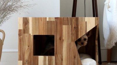 🏡 하우스원목스테이 솔직 후기! 할인 꿀팁 대방출 ✨
