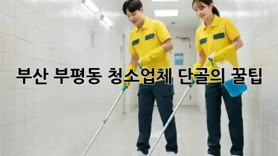 부산 부평동 청소업체 단골의 ✨꿀팁✨